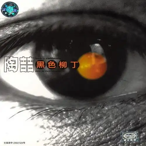 黑色柳丁 2002